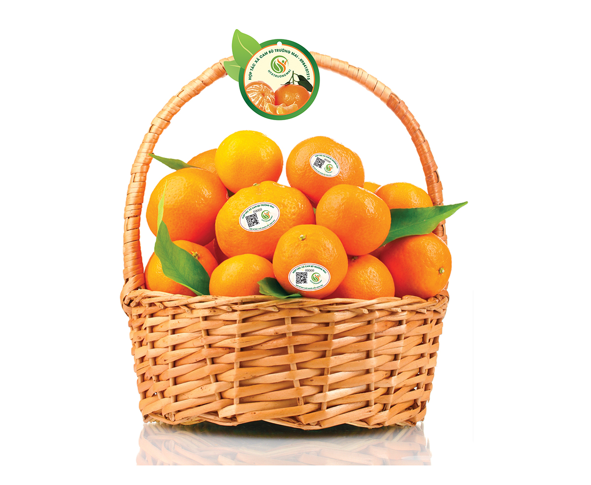  Giải pháp nhãn mác cho nông sản 