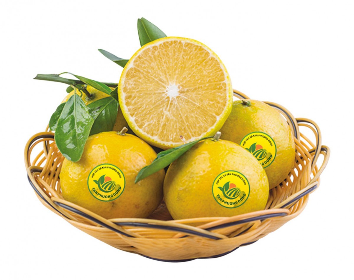  Giải pháp nhãn mác cho nông sản 